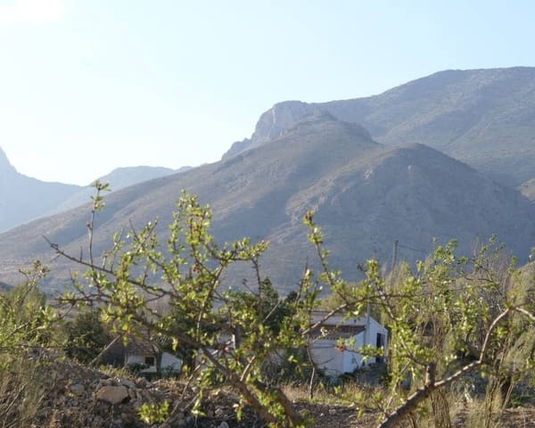 Tomt till salu i La Parroquia, Lorca - 30 000 € (Ref: 7677421)