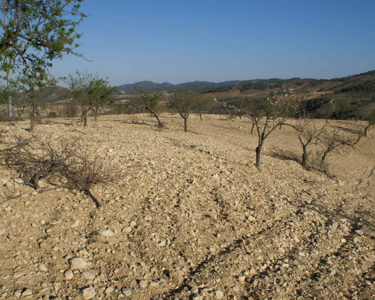 Bouwgrond te koop in La Parroquia - € 30.000 (Ref: 7677421)