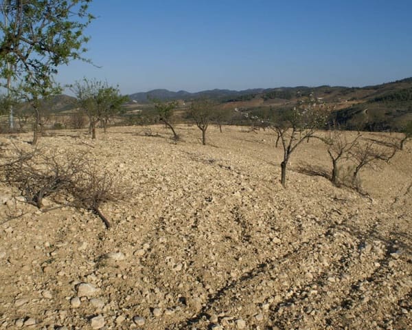 Tomt till salu i La Parroquia, Lorca - 30 000 € (Ref: 7677421)