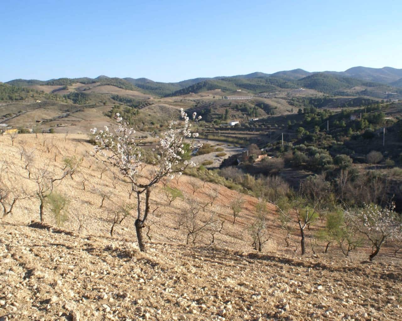 Bouwgrond te koop in La Parroquia - € 30.000 (Ref: 7677421)