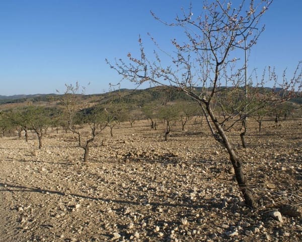 Tomt till salu i La Parroquia, Lorca - 30 000 € (Ref: 7677421)