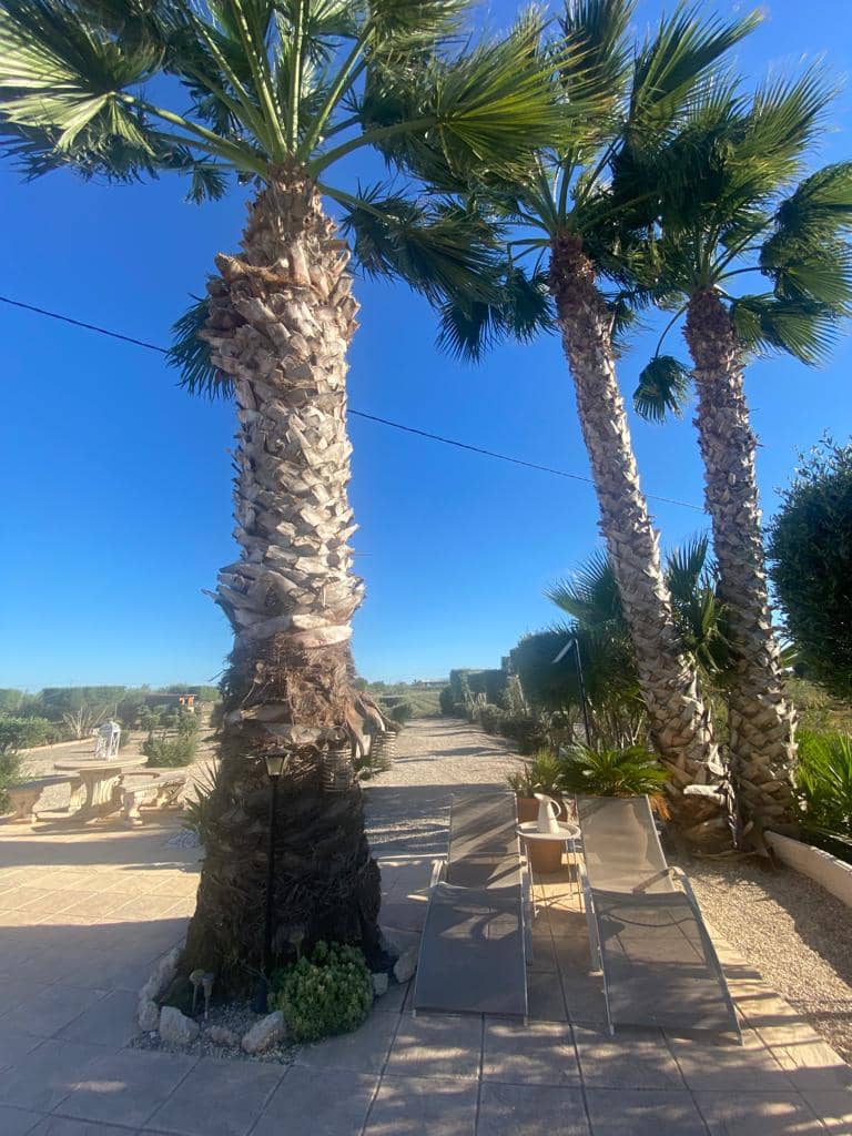 3 bedroom Finca/Country House for sale in Dolores - € 510,000 (Ref: 7840010)