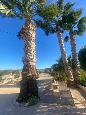 3 bedroom Finca/Country House for sale in Dolores - € 510,000 (Ref: 7840010)