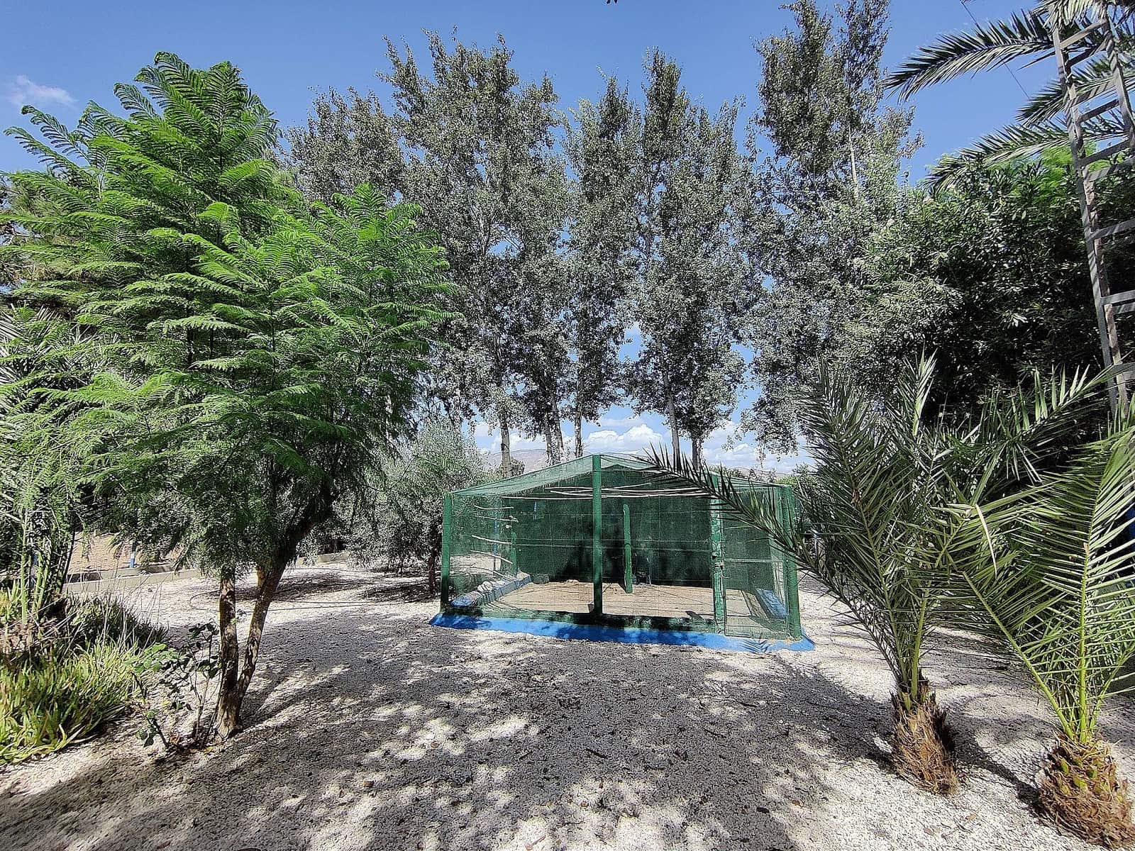 3 quarto Quinta/Casa Rural para venda em Crevillente / Crevillent com piscina - 399 995 € (Ref: 8397555)