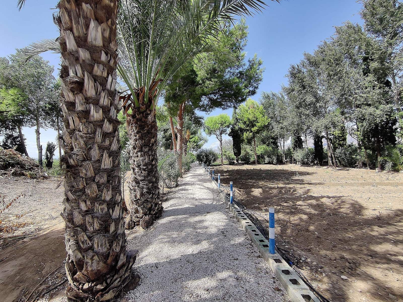 3 quarto Quinta/Casa Rural para venda em Crevillente / Crevillent com piscina - 399 995 € (Ref: 8397555)