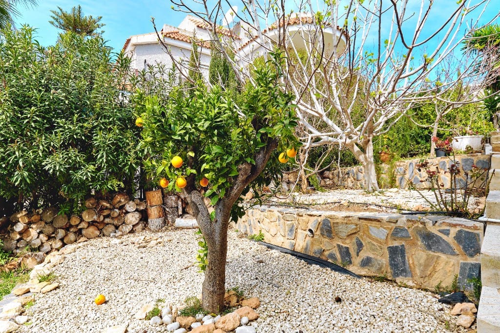 4 bedroom Villa for sale in Dehesa de Campoamor with pool garage - € 990,000 (Ref: 8451060)