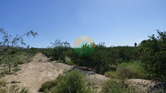 Mark till salu i Alhama de Murcia - 59 000 € (Ref: 8568955)