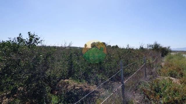 Mark till salu i Alhama de Murcia - 59 000 € (Ref: 8568955)