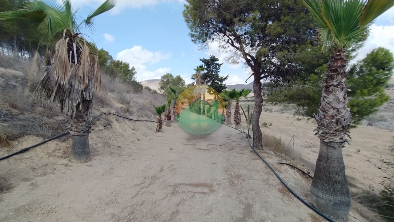 2 bedroom Finca/Country House for sale in Mazarron with pool - € 299,000 (Ref: 8568956)