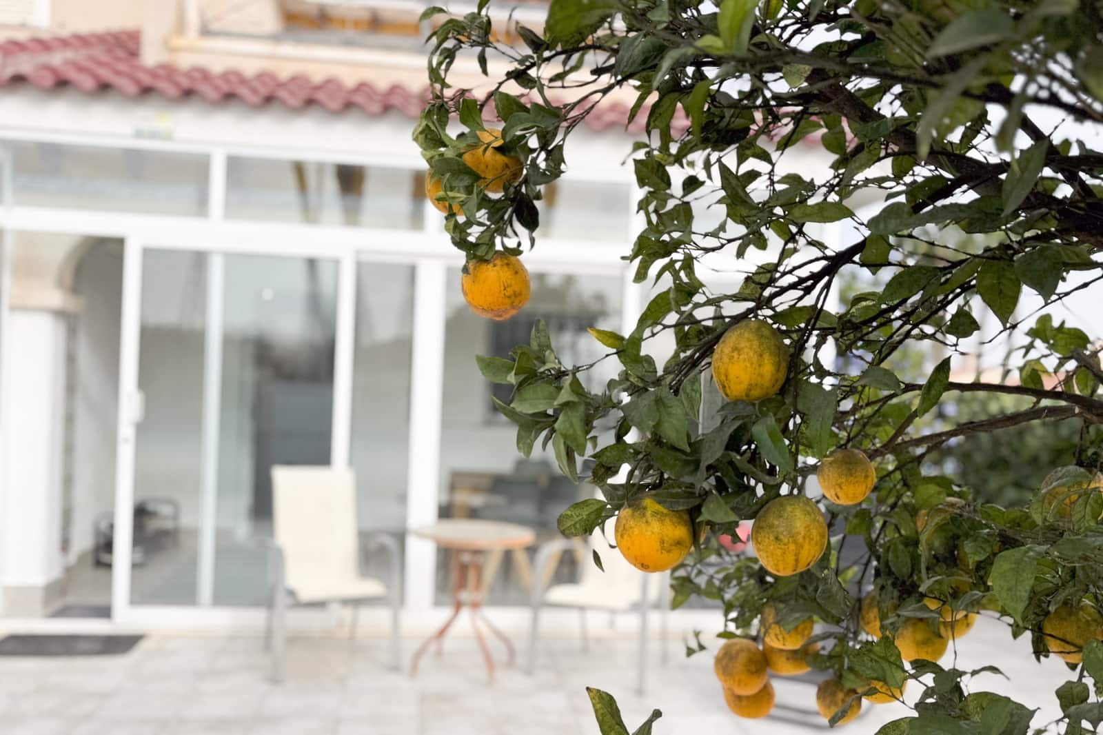 3 makuuhuone Bungalow myytävänä paikassa Orihuela Costa mukana uima-altaan - 260 000 € (Ref: 8722961)