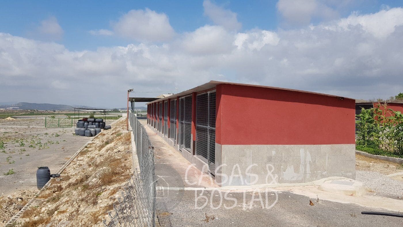 2 sovrum Finca/Hus på landet till salu i Los Montesinos - 380 000 € (Ref: 8722965)