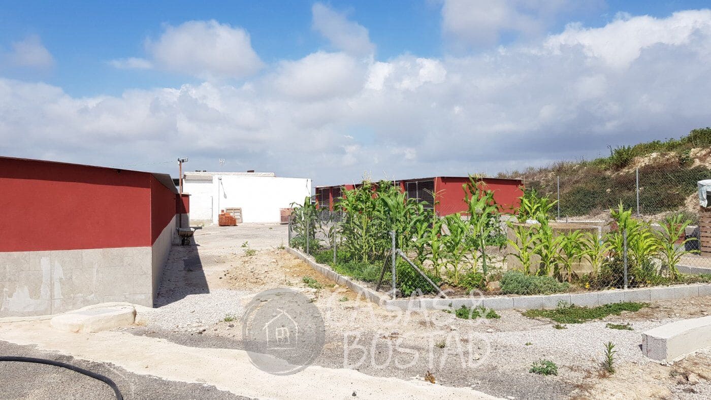 2 sovrum Finca/Hus på landet till salu i Los Montesinos - 380 000 € (Ref: 8722965)