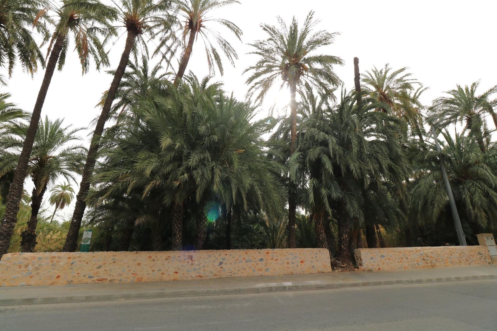 Bouwgrond te koop in Orihuela - € 290.000 (Ref: 8736732)