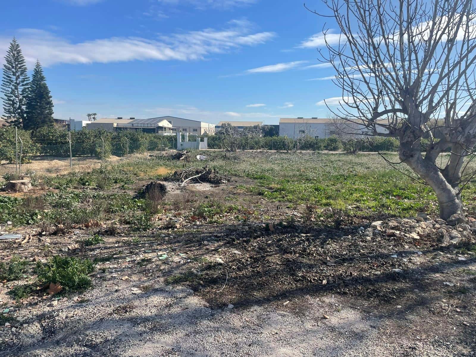 4 soverom Finca/Herregård til salgs i Almoradi - € 165 000 (Ref: 8820776)