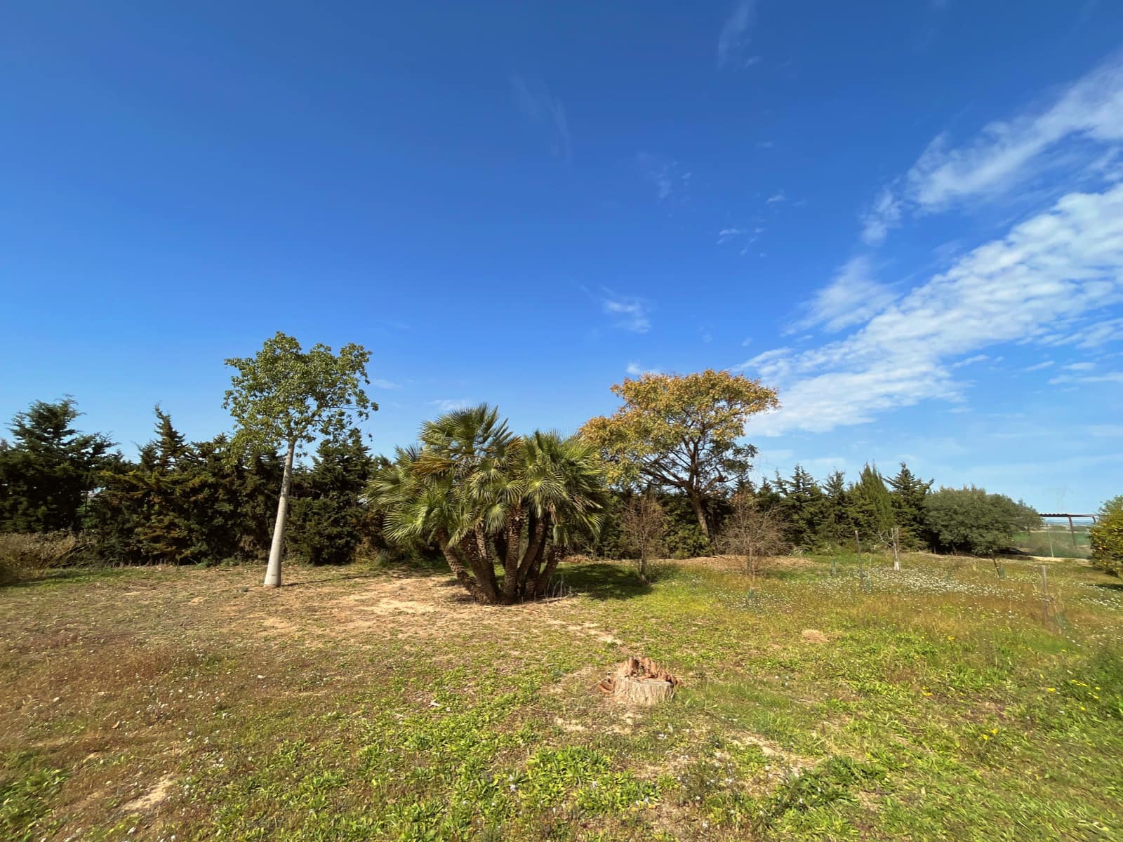 6 soveværelse Finca/Landehus til salg i La Puebla med swimmingpool garage - € 695.000 (Ref: 8929601)