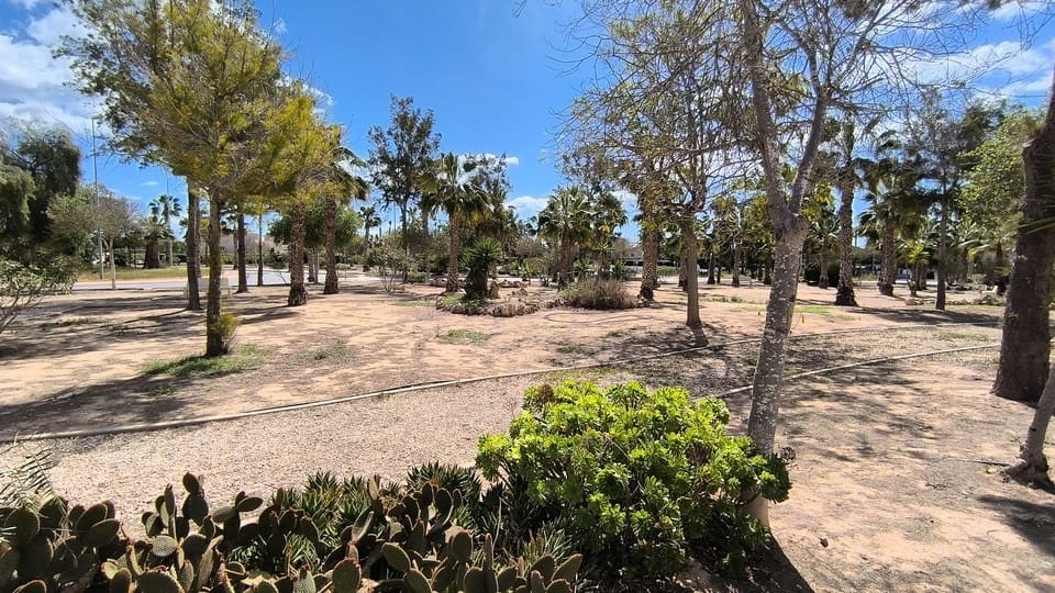 3 soveværelse Villa til salg i Guardamar del Segura med swimmingpool - € 269.000 (Ref: 8945488)