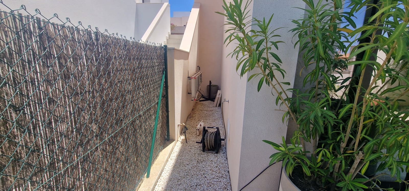 3 Zimmer Villa zu verkaufen in Ciudad Quesada mit Pool - 459.950 € (Ref: 9019280)