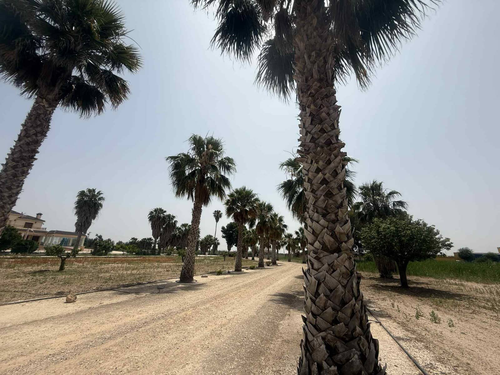 6 soveværelse Semi-Rækkehus til salg i Almoradi med swimmingpool garage - € 850.000 (Ref: 9063448)