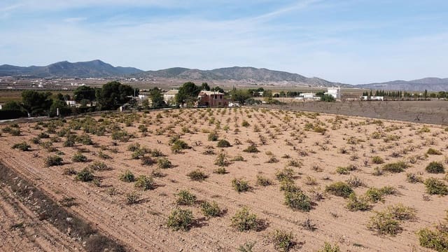 Ubebygd land til salgs i Pinoso - € 45 000 (Ref: 9094460)