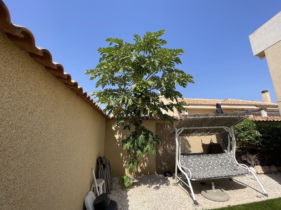 4 Zimmer Villa zu verkaufen in Ciudad Quesada mit Pool - 329.800 € (Ref: 9168245)