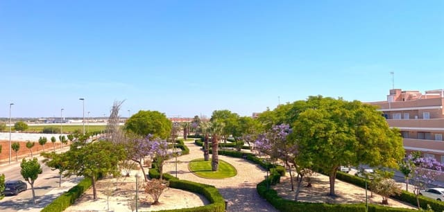 Bungalow de 3 habitaciones en Pilar de la Horadada en venta con piscina - 395.000 € (Ref: 9184379)