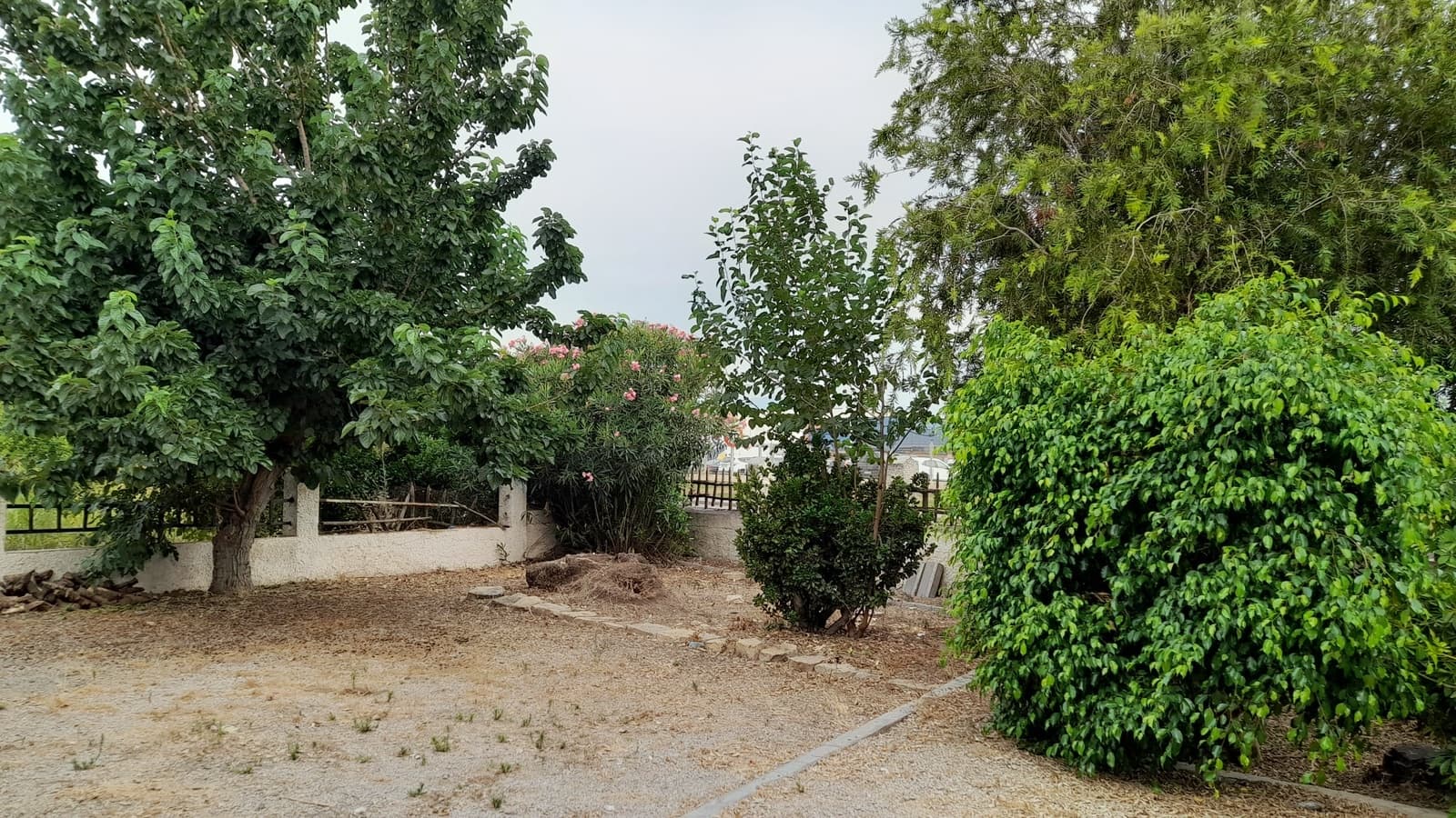 5 soveværelse Finca/Landehus til salg i Benejuzar med swimmingpool garage - € 295.000 (Ref: 9189409)