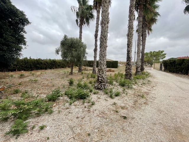 3 slaapkamer Finca/Landhuis te koop in Daya Vieja - € 345.000 (Ref: 9190721)