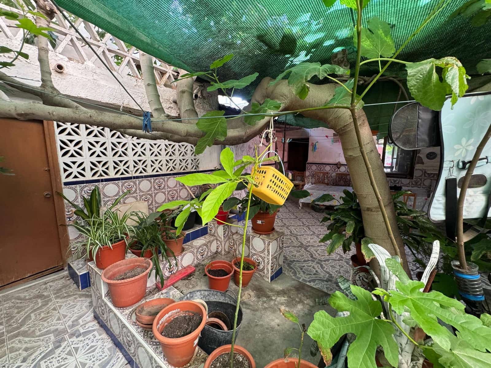 3 slaapkamer Huis te koop in Benejuzar - € 89.990 (Ref: 9243642)