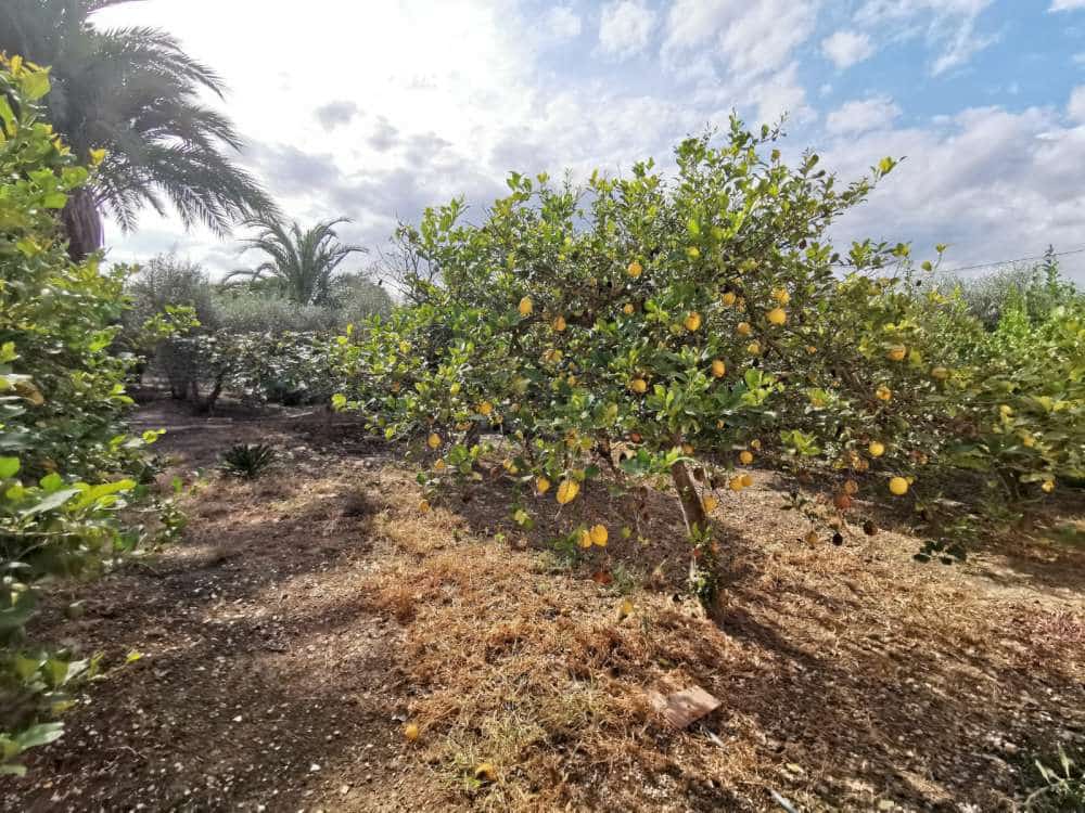 3 soverom Finca/Herregård til salgs i Catral med svømmebasseng - € 385 000 (Ref: 9243643)