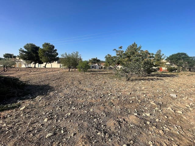 Undeveloped Land for sale in Ubeda, Pinoso - € 40,000 (Ref: 9377710)