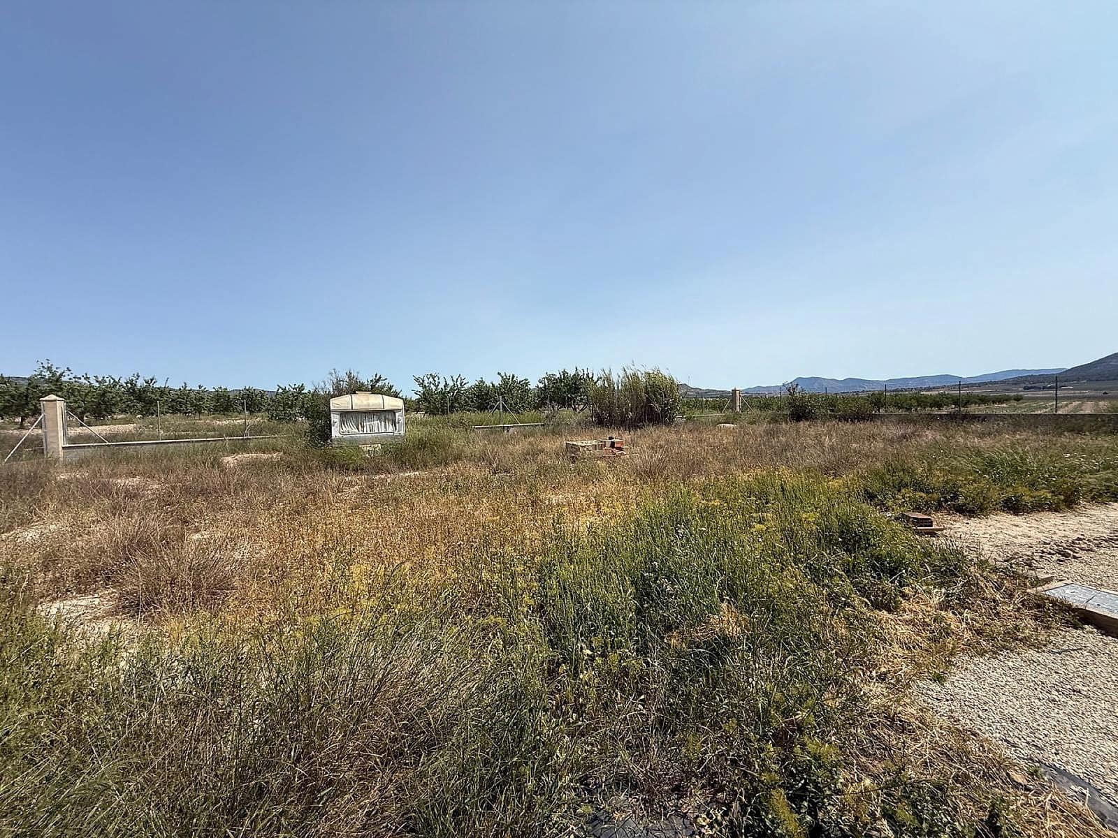 7 soveværelse Villa til salg i Salinas - € 199.995 (Ref: 9401035)