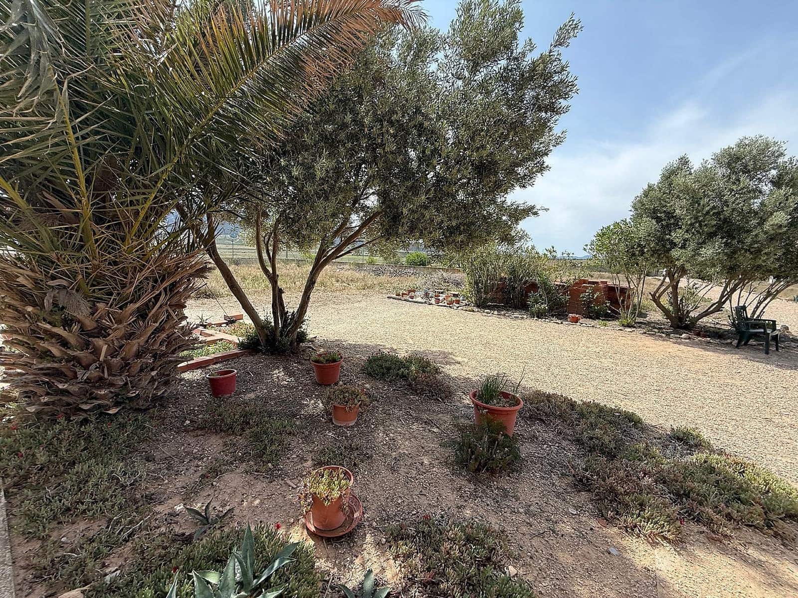 7 soveværelse Villa til salg i Salinas - € 199.995 (Ref: 9401035)