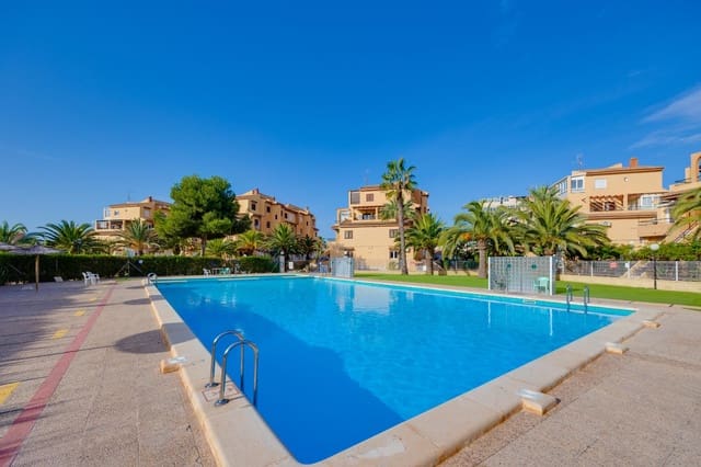 Studio til salg i Torrevieja med swimmingpool - € 99.990 (Ref: 9427484)
