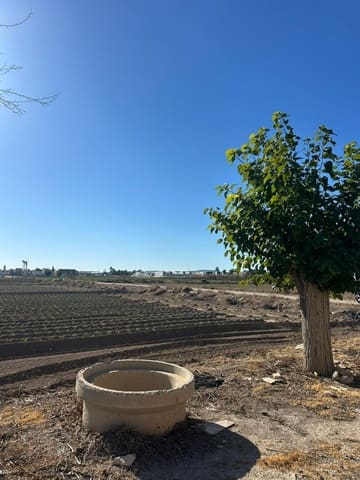 Finca/Landgut zu verkaufen in Daya Vieja - 137.000 € (Ref: 9579165)