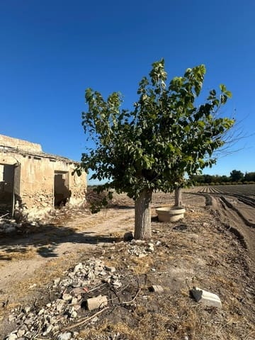 Finca/Landgut zu verkaufen in Daya Vieja - 137.000 € (Ref: 9579165)