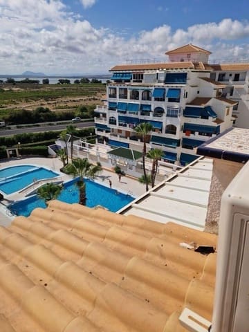 Studio for sale in Torrevieja with pool - € 139,500 (Ref: 9619818)