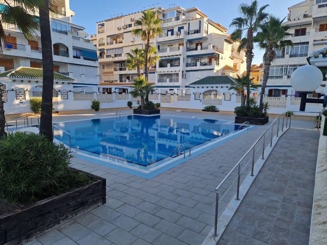 Studio for sale in Torrevieja with pool - € 139,500 (Ref: 9619818)