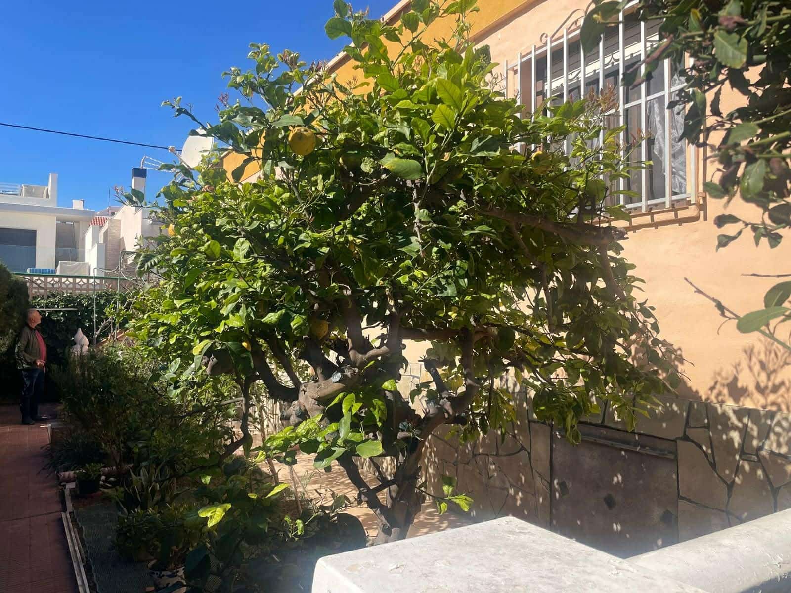 3 sypialnia Dom blizniak na sprzedaż w La Mata z garażem - 179 000 € (Ref: 9626038)