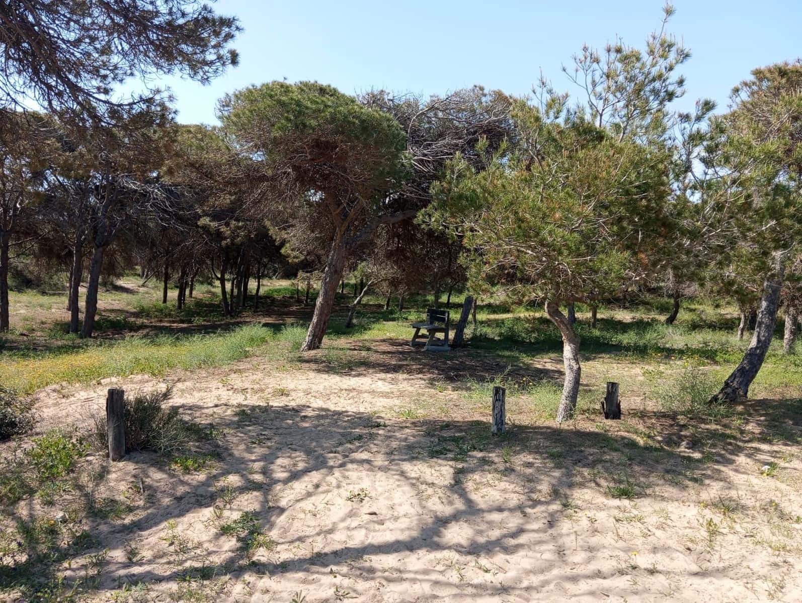 2 quarto Bungalow para venda em Guardamar del Segura com piscina - 180 000 € (Ref: 9653200)