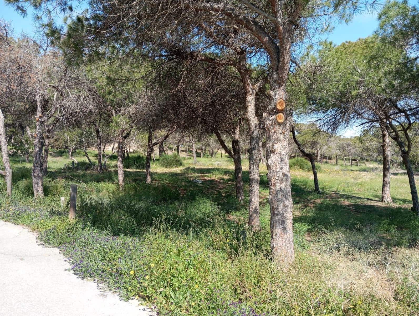 2 quarto Bungalow para venda em Guardamar del Segura com piscina - 180 000 € (Ref: 9653200)