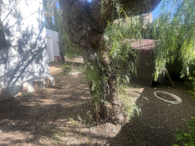 4 slaapkamer Villa te koop in Cabo Roig, Orihuela met zwembad - € 750.000 (Ref: 9694599)