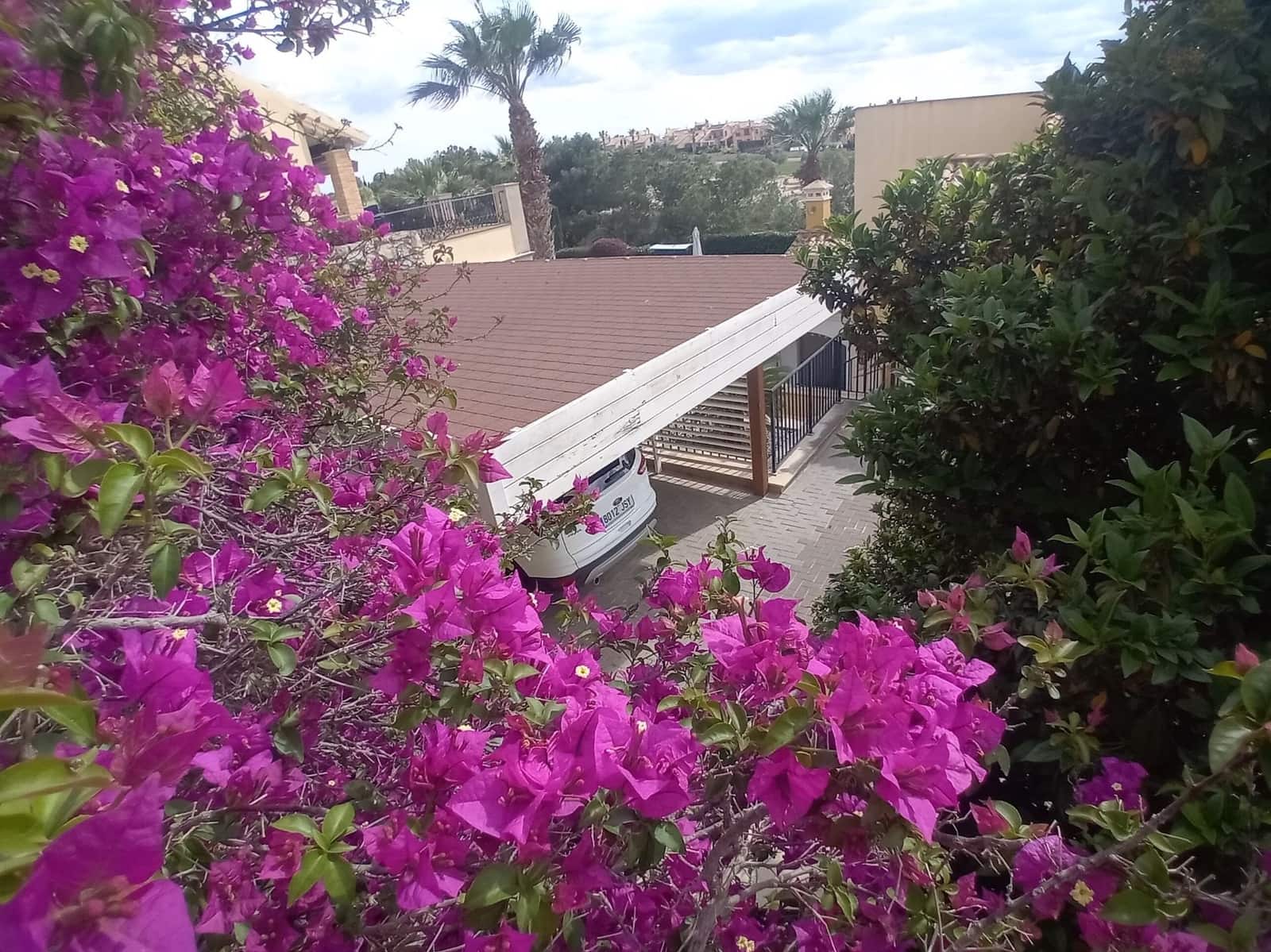 4 bedroom Villa for sale in Algorfa with pool - € 495,000 (Ref: 9719939)