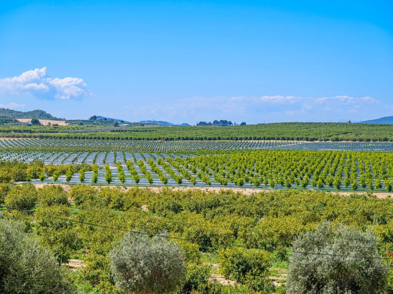 2 soveværelse Lejlighed til salg i Algorfa med swimmingpool garage - € 145.000 (Ref: 9756316)