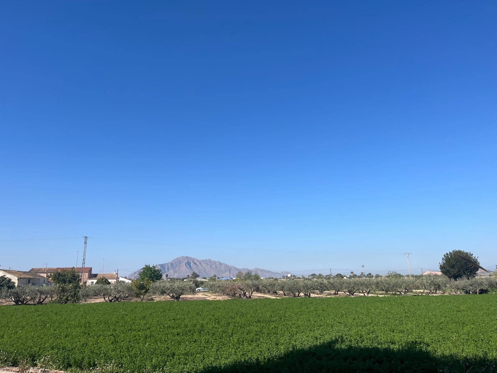 2 Zimmer Haus zu verkaufen in Catral mit Pool - 159.995 € (Ref: 9800301)