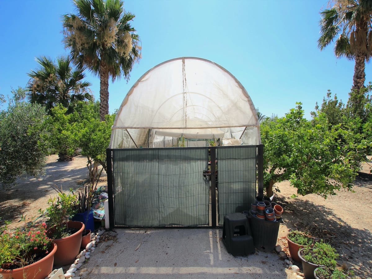 Finca/Casa Rural de 3 habitaciones en Daya Vieja en venta con piscina - 415.000 € (Ref: 9806802)