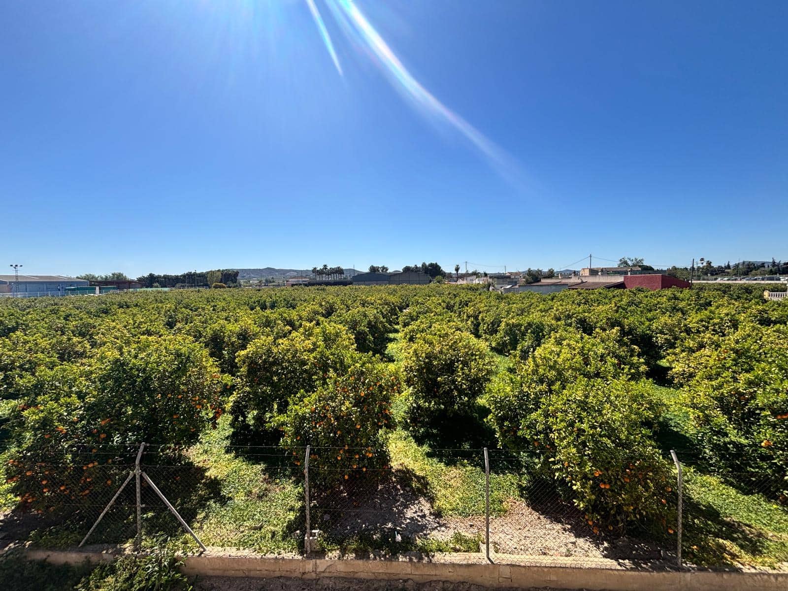 3 bedroom Apartment for sale in Benejuzar - € 99,999 (Ref: 9846232)