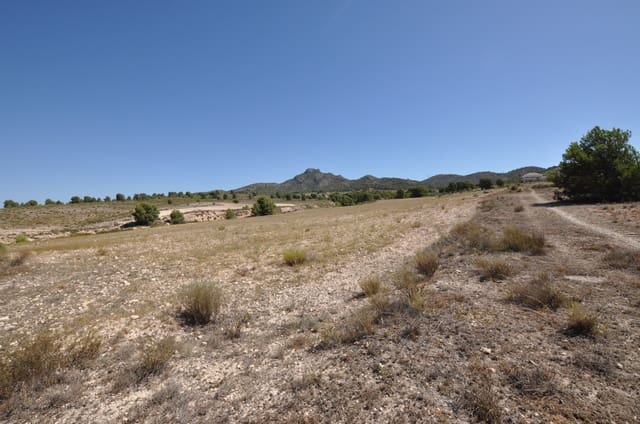 Solar/Parcela en Salinas en venta - 89.000 € (Ref: 9847658)