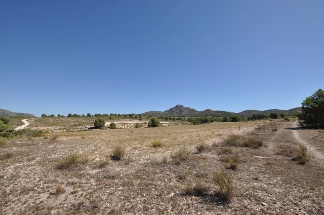 Solar/Parcela en Salinas en venta - 89.000 € (Ref: 9847658)