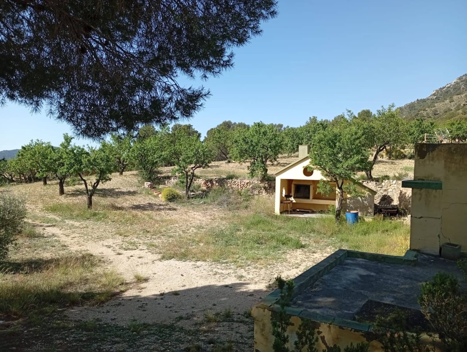 2 bedroom Cave House for sale in Salinas - € 119,995 (Ref: 9847660)