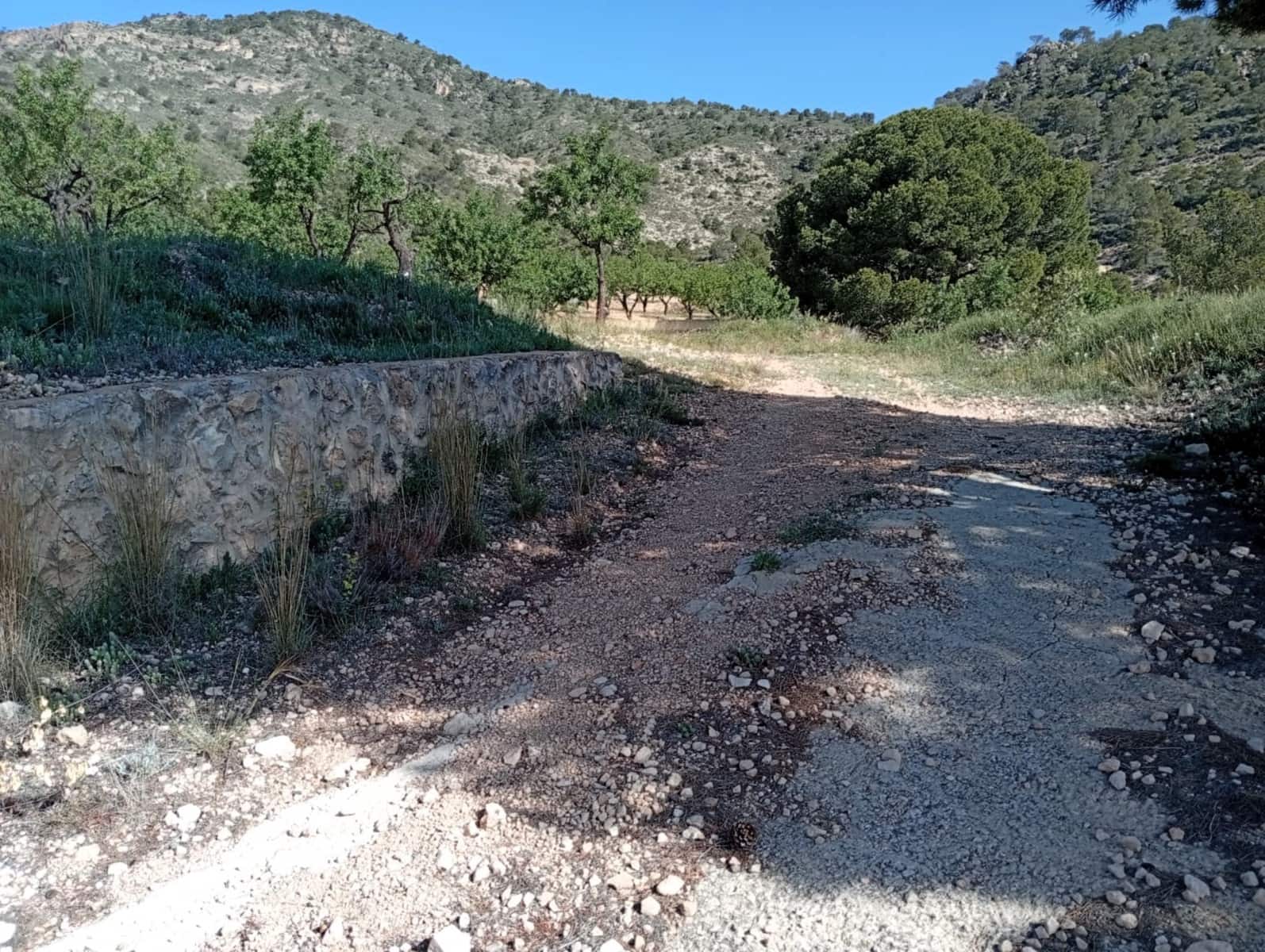 2 bedroom Cave House for sale in Salinas - € 119,995 (Ref: 9847660)